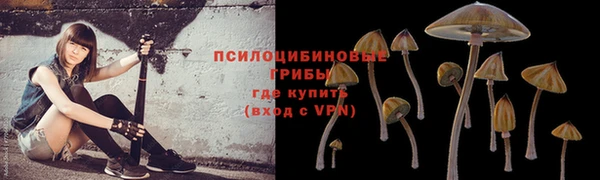 прущая мука Чита
