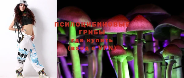 PSILOCYBIN Краснослободск