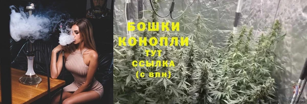 PSILOCYBIN Краснослободск