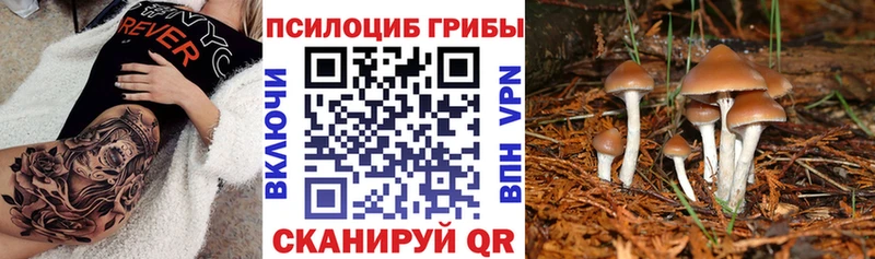 Купить  Изобильный  Галлюциногенные грибы Magic Shrooms 